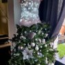 Ledoux's Christmas tree from Marcq-en-Bar?ul 