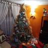 MADELEINE TOLOSA 's Christmas tree from Bogotá, Colombia 