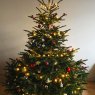 Tamás Samek's Christmas tree from Hungary