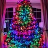 Damian Smith 's Christmas tree from Dublin, Ireland 