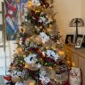 Arbo's Christmas magic 's Christmas tree from Florida USA 