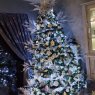 Maligno 's Christmas tree from Warneton Belgique 