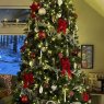 Tristan Hagaman's Christmas tree from Pinehurst, ID
