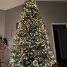 Leah Cantrell's Christmas tree from Portland Tn