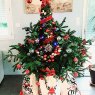 De Abreu's Christmas tree from France