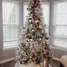 Árbol de Navidad de Priscilla Porter and Septembre Corbett (Clayton, DE, USA)