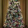 Teresa Henderson's Christmas tree from Henderson, NC