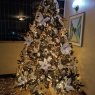 Roxana Castillo 's Christmas tree from Caracas, Venezuela 