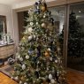 Ode to Elizabeth Regina II's Christmas tree from Philadelphia, PA