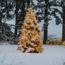 Árbol de Navidad de Heavenly Rock Box  (Union Washington )