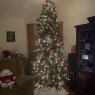 Peanuts Christmas's Christmas tree from Morristown, TN. USA