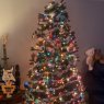 Michelle's Christmas tree from Toronto, ON, CAD