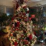 Melissa Sybole 's Christmas tree from Canton,  Ohio