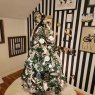 Staci Shelton's Christmas tree from St. Louis, MO, USA