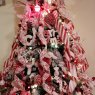 Pullen Family Tree's Christmas tree from San Antonio, TX