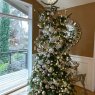 Tonia Garrigues's Christmas tree from Portland, OR