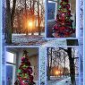 Árbol de Navidad de Simona P., LMHAnina (Anina, Caras-Severin County, Romania)