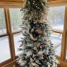 Árbol de Navidad de Halbasch Family Tree (Park Rapids, MN )