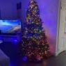 Desiree's Christmas tree from Miami Beach Florida 