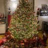 Weihnachtsbaum von Heike Russo (Rheurdt)