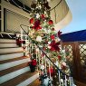 The Thompson's Christmas tree from Rochester, NY