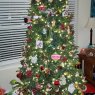 Árbol de Navidad de Hanel Family (San Antonio, TX)