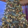 Árbol de Navidad de Melody & Bob's Under the Sea tree (Rifle, Colorado)