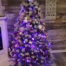 In memory of my beautiful sister Tree's Christmas tree from Kingston ont Canada 