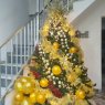 Árbol de Navidad de Raul pomares  (Almeria)