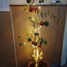 Aneta knittichová's Christmas tree from Czech Republic 