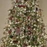 Kelly foster's Christmas tree from Easley, SC,usa