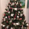 Daniel's Christmas tree from Elche