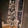 DeWayne D Torsell's Christmas tree from White Marsh, MD, USA 