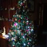 Ana's Christmas tree from Ciudad Real, España
