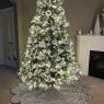 JD's Christmas tree from United States