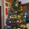 Weihnachtsbaum von Daborah Phillips (Tenino.wa 98589 USA USA)
