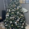 LPSP's Christmas tree from Australia Queensland 