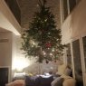 Peter Speiser's Christmas tree from Neu Wulmstorf