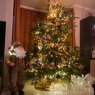 Weihnachtsbaum von Mika (Ottignies, Belgique )