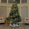 Alint Francis's Christmas tree from Dallas Texas