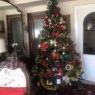 Pilar 's Christmas tree from Madrid 
