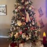 Linda Jackson 's Christmas tree from Jacksonville, Florida