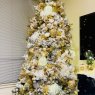 Martell Stamps's Christmas tree from Oakland, California 