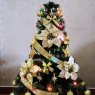 Romina's Christmas tree from Argentina 