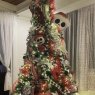 Henry schucht's Christmas tree from Hawaii