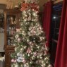 David's Christmas tree from Mobile Al