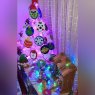 Mary's Christmas tree from Cdmx