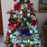 EDDY's Christmas tree from Venezuela 