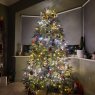 Zanete's Christmas tree from Dublin, Ireland