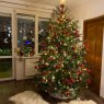 Geri's and Petra's christmas tree from Hungary's Christmas tree from Hungary